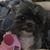 Denise Burks's profile image