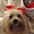 Christine Minnigh's profile image