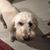 Marlene Clapp's profile image