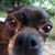 Linda Bailey's profile image