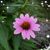 Beth German-Stout's profile image