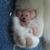 Cher Smithendoll's profile image