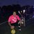 Didac Gonzalez's profile image