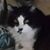 Debbie McKenzie's profile image
