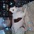 Shirley Mazzoni Nott's profile image