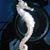 Jenny Keith's profile image