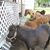 Carol L Lee Richardson's profile image