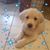 Kimberly Hanke Susag's profile image