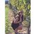 Chanelle Nastasia's profile image