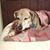 Sherri Jeakle's profile image