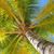 Sharon Mabe Neville's profile image