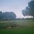 Dana Kuhns's profile image