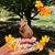 Carolyn Gurski's profile image