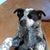 Kathleen McGowan Jones's profile image