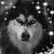 Kat K.'s profile image