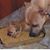 Melissa Keiner's profile image