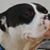 Stacey Croslin's profile image
