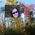 Cathy Vezina's profile image