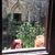 Lisa Ciano Woodward's profile image
