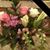 Joyce Austin McWhorter's profile image