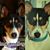 Mandy Hazen's profile image