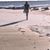 Kerry Wrenn Chesnutt's profile image