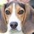 D'Ette Loucks's profile image