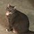Carrielynn Rubertello's profile image