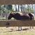Carolyn Harter's profile image