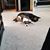 Melody Sutliff Smith's profile image