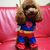 Chiharu Midoro's profile image