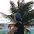 Donna Cassano Kakadeles's profile image