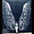 Shauna Powell's profile image