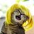 Sarah Stewart's profile image