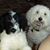 Leah Ulrich Fink's profile image