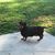 Margaret Darce-Derise's profile image