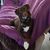 Brittany Painter Blancato's profile image