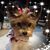Kathy Rasberry's profile image