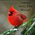 Mary Hardy Irwin's profile image