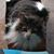 David William Vincent's profile image