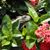 Maryann Stewart's profile image