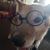 Beth Radke Miller's profile image