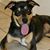 Danita Blake's profile image