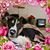 Brenda Geraci's profile image