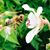 Lorraine Lewandrowski's profile image