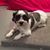 Johnathan Breitung's profile image