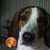 Branden Cagley's profile image