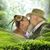Kelly Harshman's profile image