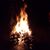 Gina Treuter's profile image