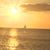 Patti Sucilla's profile image